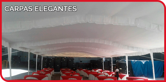 Carpas Elegantes