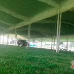 lonas-carpas-toldos-en-renta-venta-san-juan-del-rio